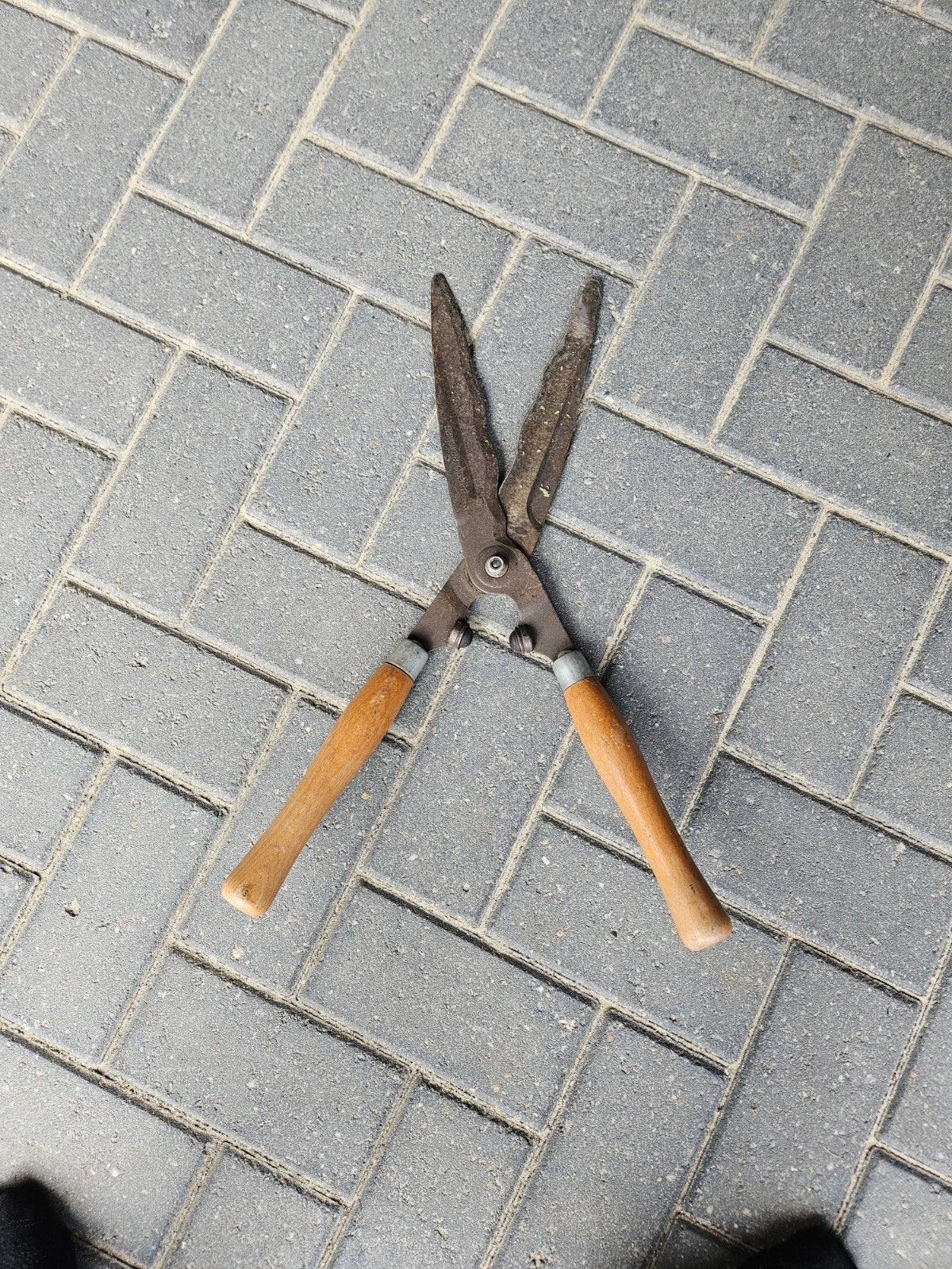 heggeschaar, Ophalen of Verzenden, Handmatig