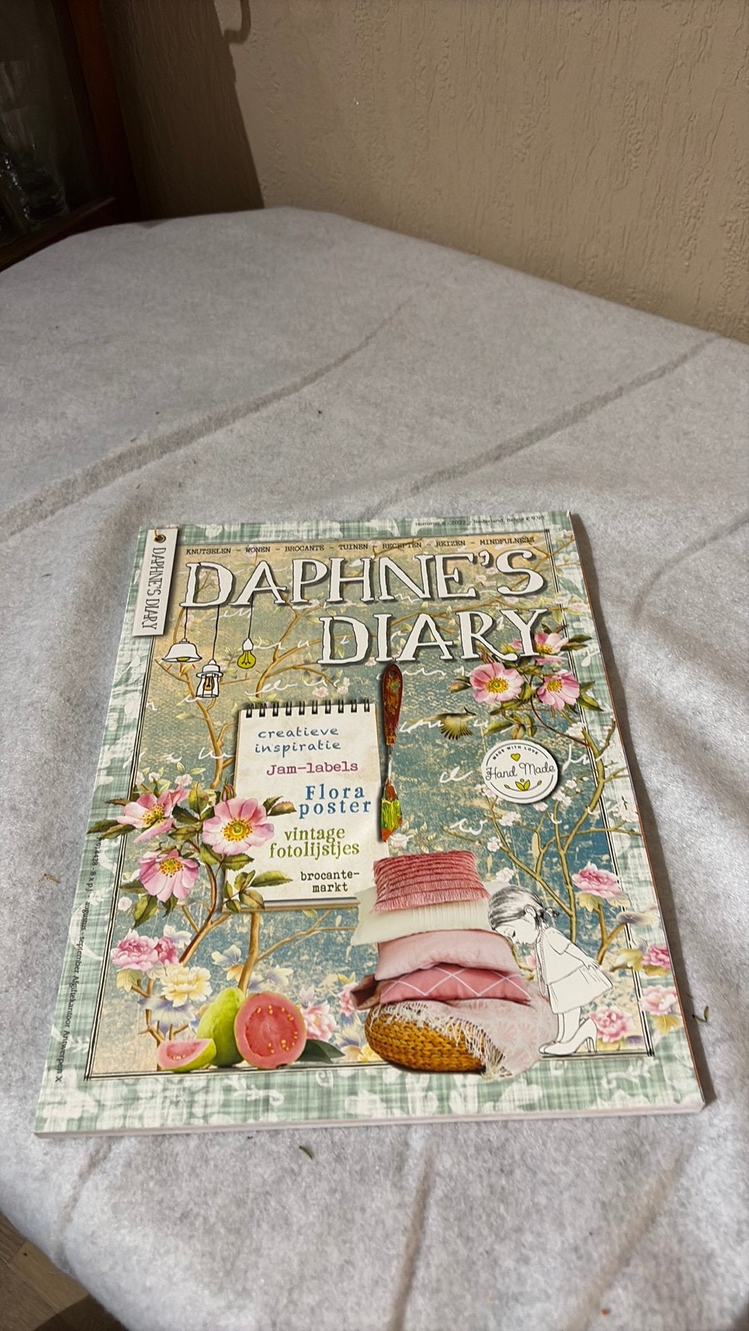 Daphne’s Diary, Hobby en Vrije tijd, Scrapbooking, Ophalen of Verzenden, Zo goed als nieuw, Frame of Mal
