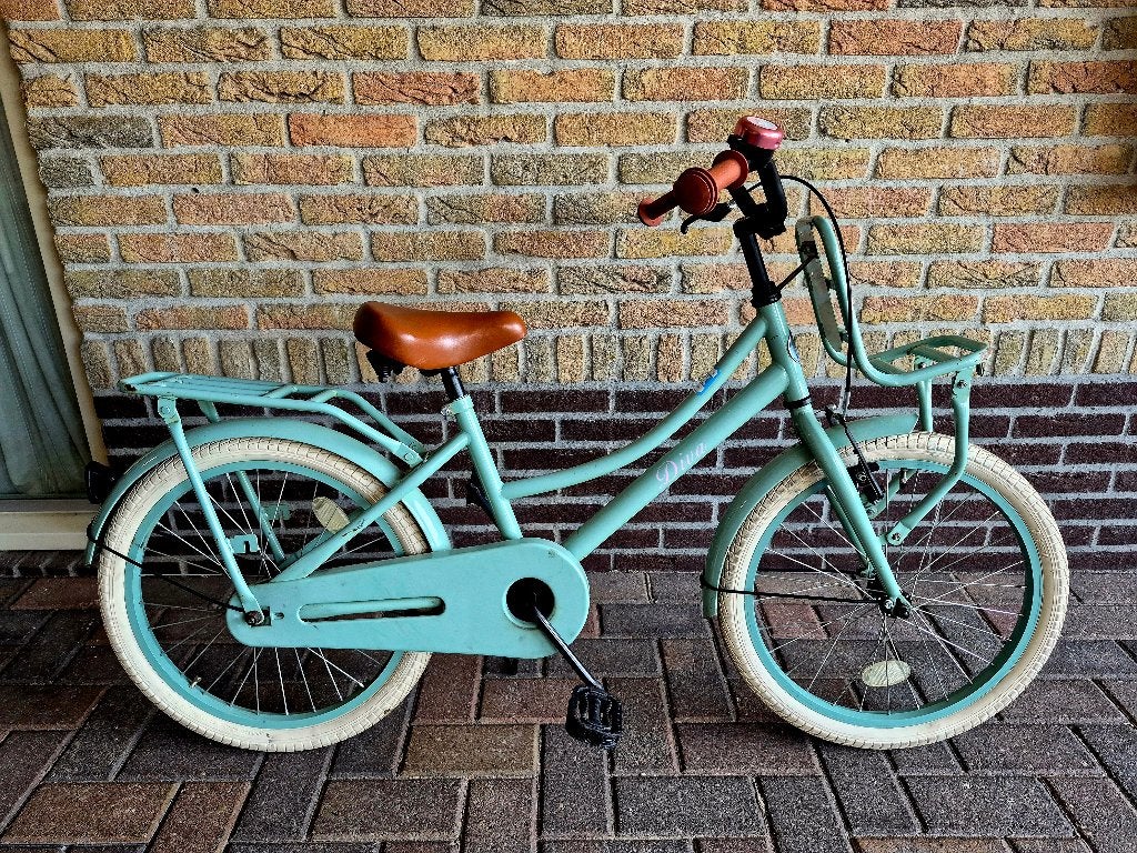Mintgroene meisjesfiets 20 inch, Ophalen, Terugtraprem, Gebruikt, Handrem