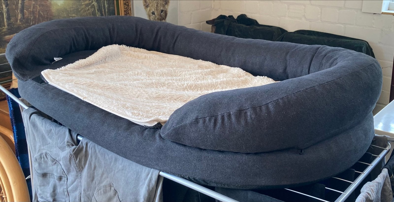 Adori Orthopedische hondenmand Hampton 120cm, Ophalen, Gebruikt, Overige