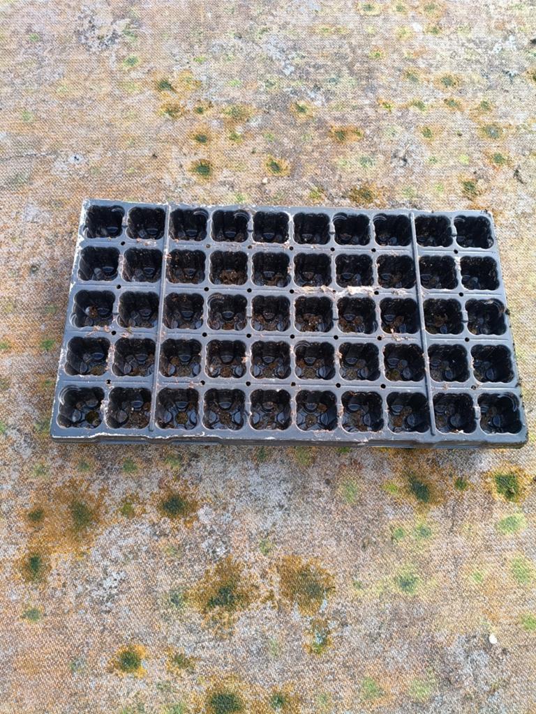 Stek try, Tuin en Terras, Ophalen