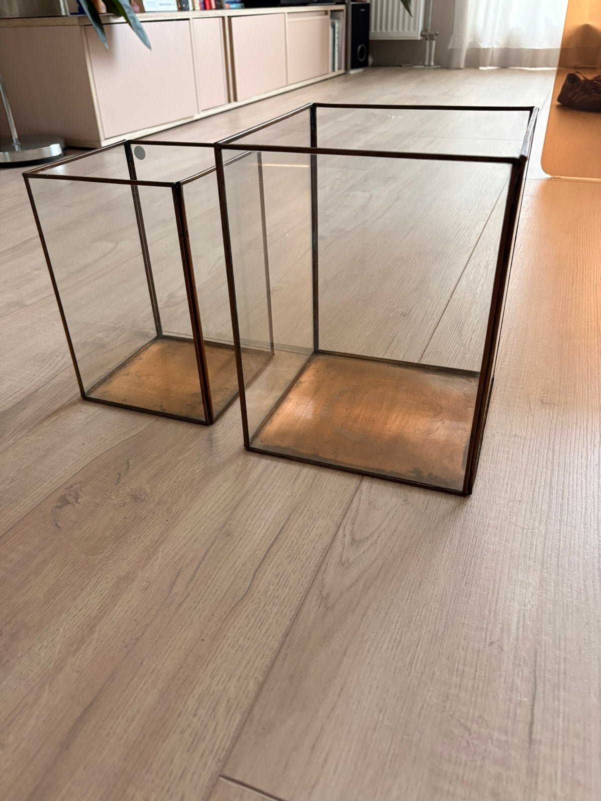 House doctor display box / vitrine / plant display, Ophalen, Gebruikt