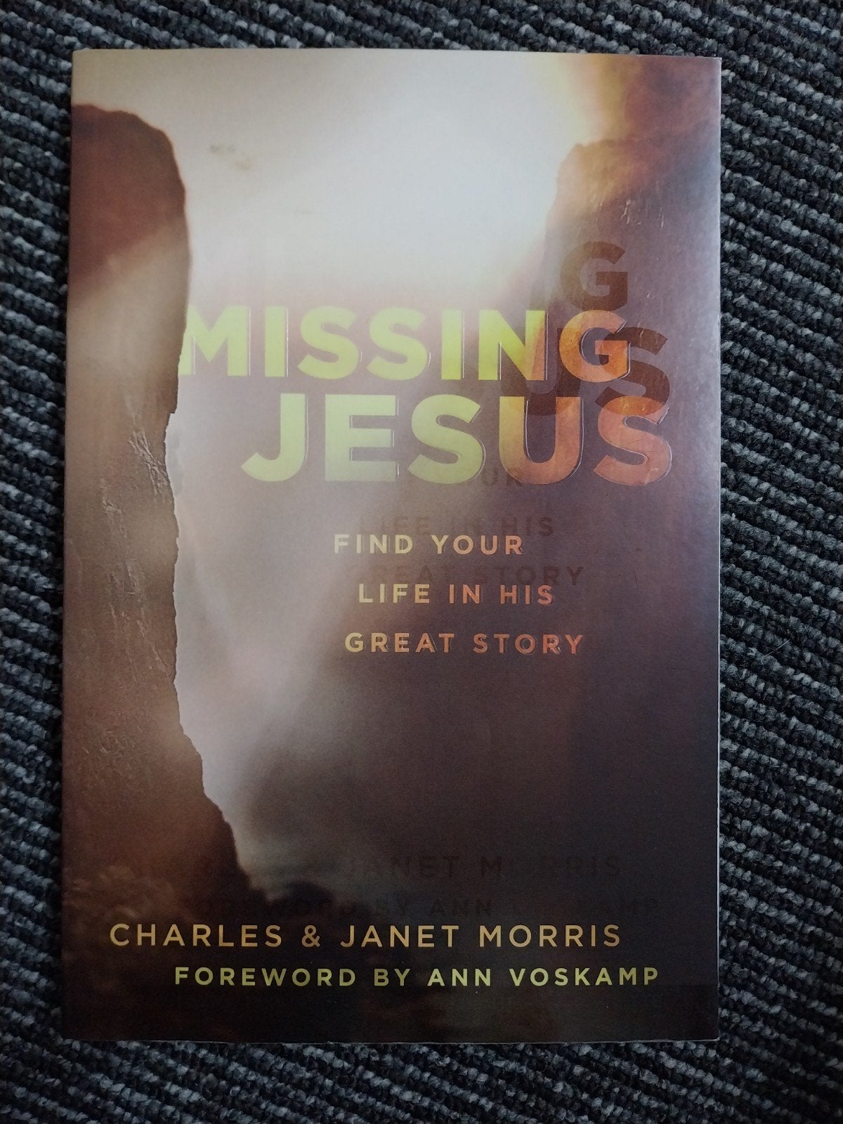 Missing Jesus: Find Your Story, Life in His Great Story, Boeken, Ophalen of Verzenden