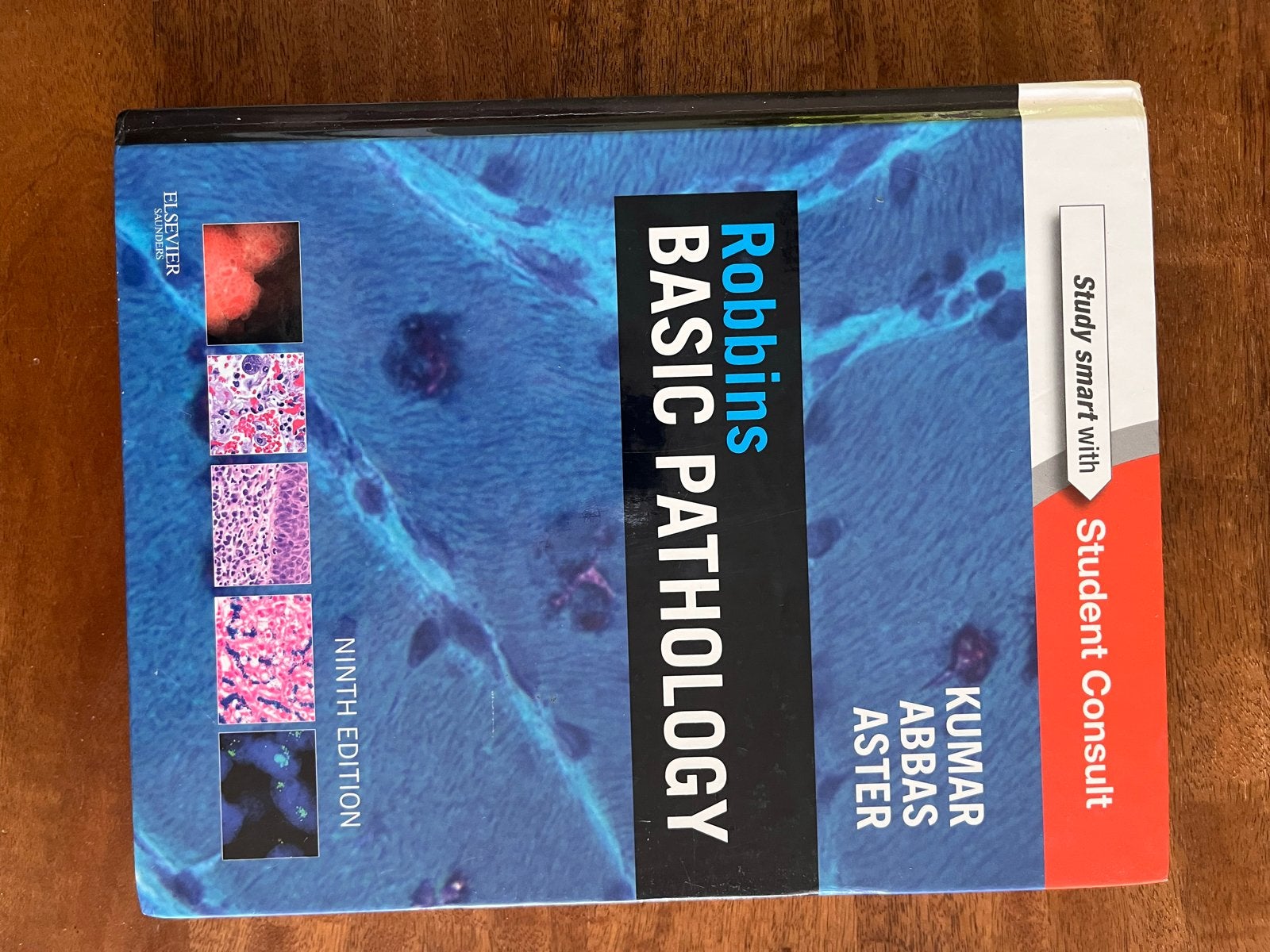 Robbins Basic Pathology - 9e editie - Zo goed als nieuw, Boeken, Ophalen of Verzenden, Beta, Zo goed als nieuw, WO