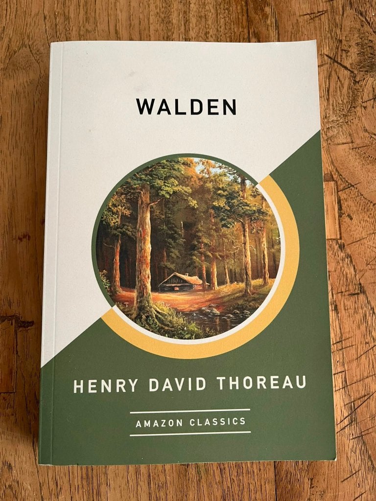 Walden van Henry David Thoreau (Engels - NIEUW), Ophalen of Verzenden, Nieuw, Henry David Thoreau