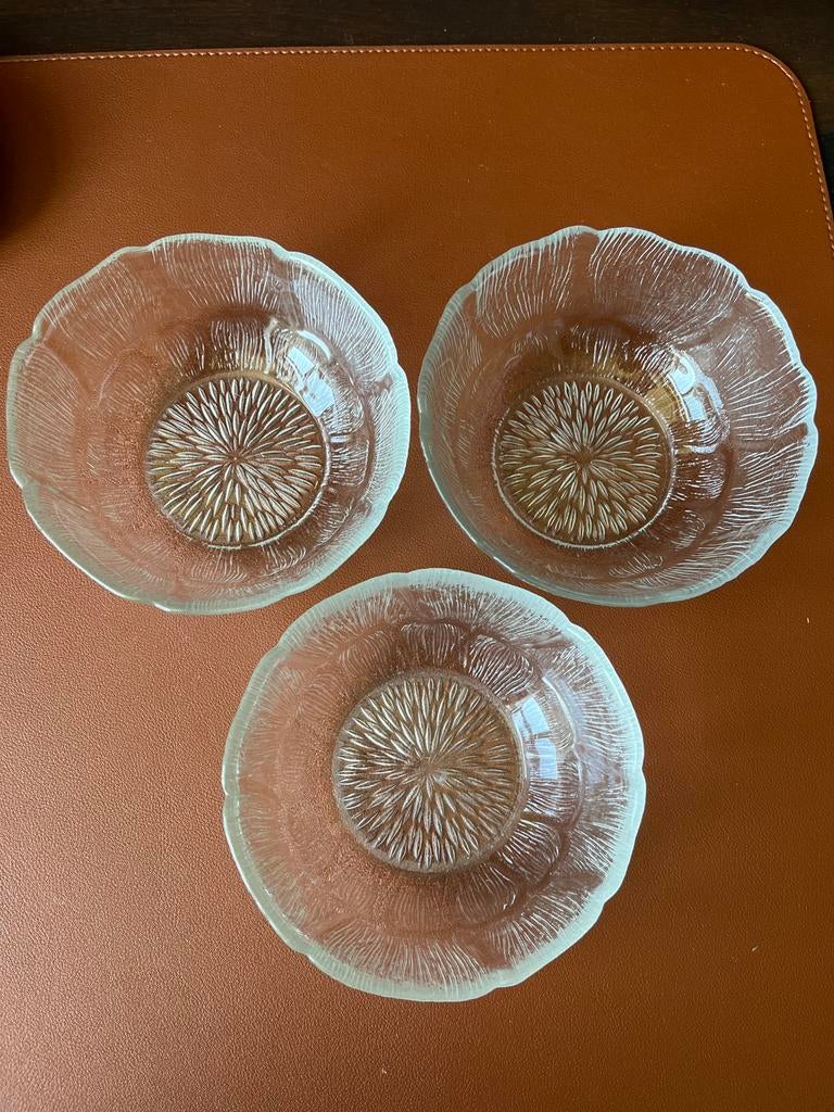 Set van 3 Arcoroc France glazen schaaltjes, Ophalen