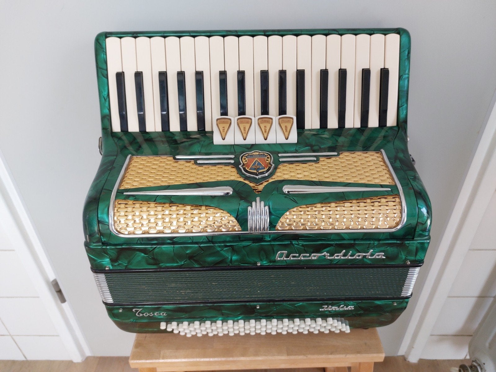 Accordiola, Muziek en Instrumenten, Gebruikt, Met koffer, Accordiola, 120-bas