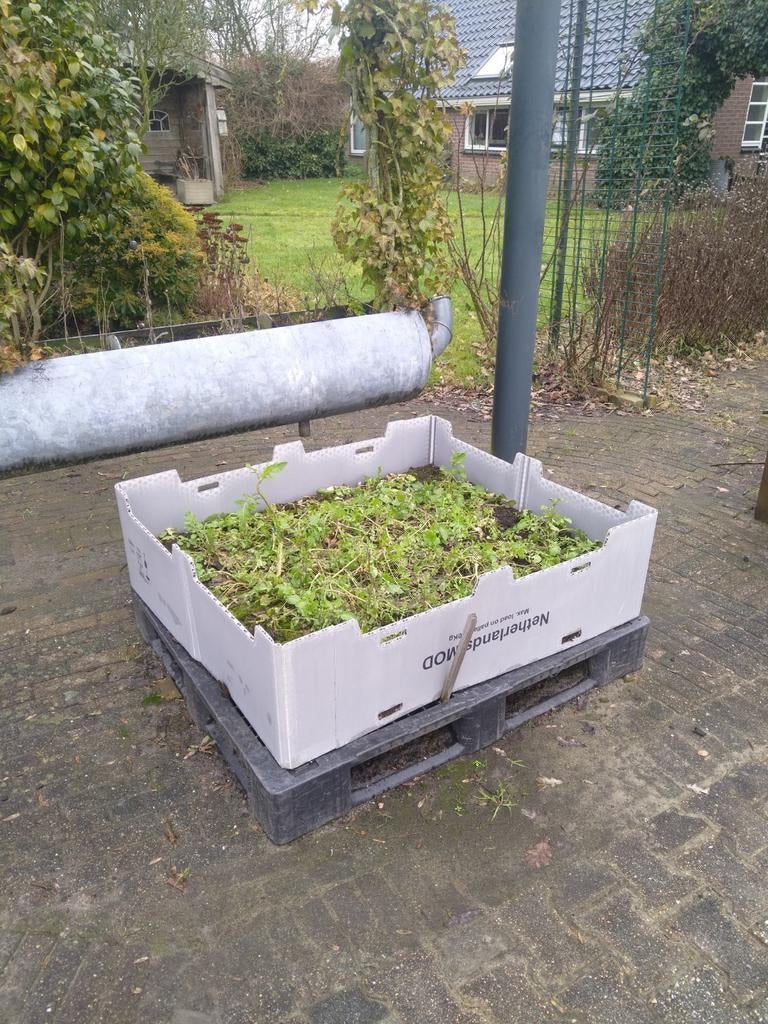 Moestuin bakken, Tuin en Terras, Aarde en Mest, Potgrond, Ophalen