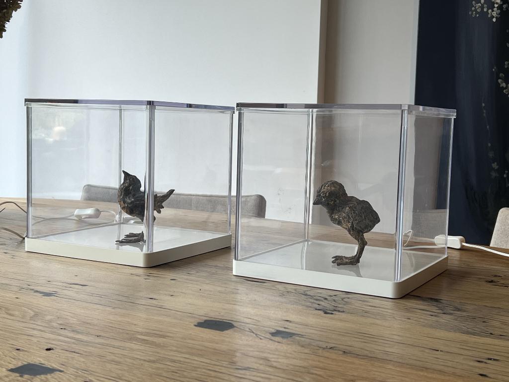 Ikea Synas verlichte display kubus box, Gebruikt, Overige stijlen, Kunststof, Ophalen of Verzenden