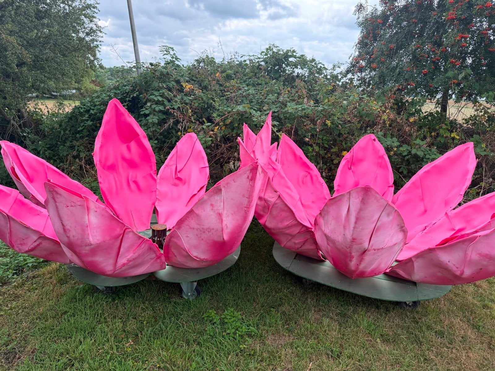 Waterlelies versiering voor feest of carnaval, Hobby en Vrije tijd, Ophalen, Gebruikt