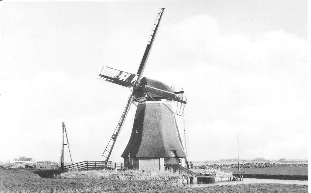 Ansichtkaart Molen Holwerd aan de Miedweg, Friesland, Ophalen of Verzenden, 1960 tot 1980, Ongelopen, Friesland