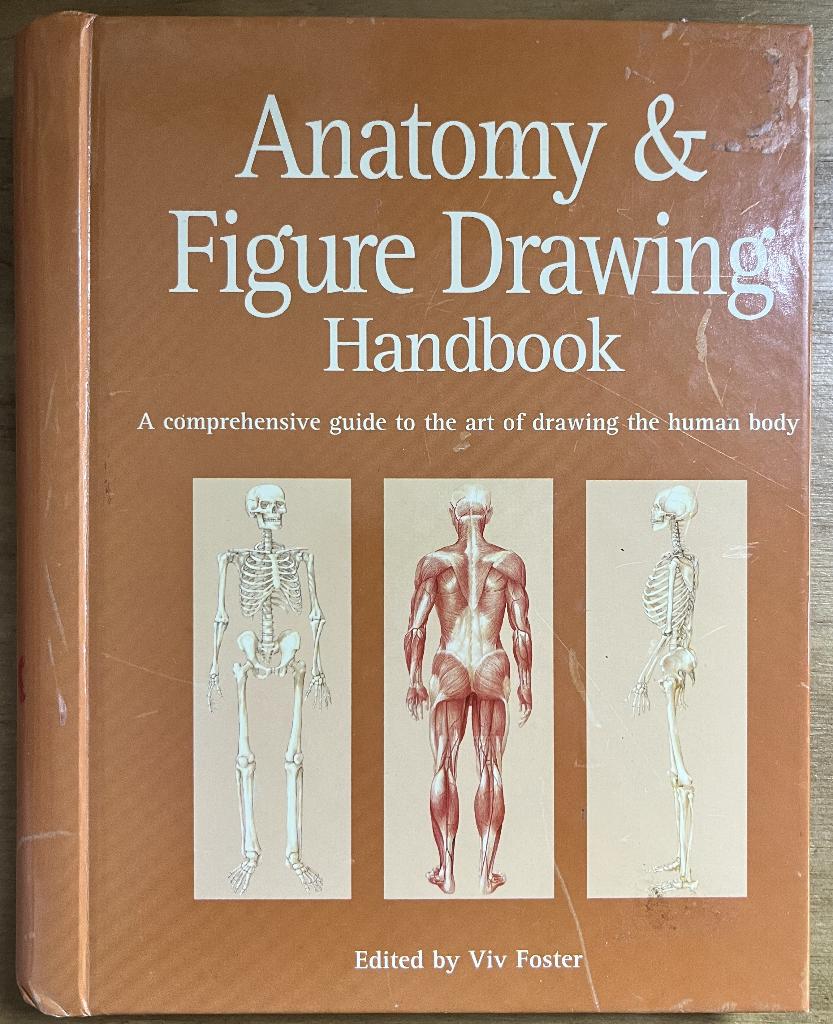 Anatomy & Figure Drawing Handbook - Viv Foster, Gelezen, Viv Foster, Niet van toepassing, Ophalen of Verzenden