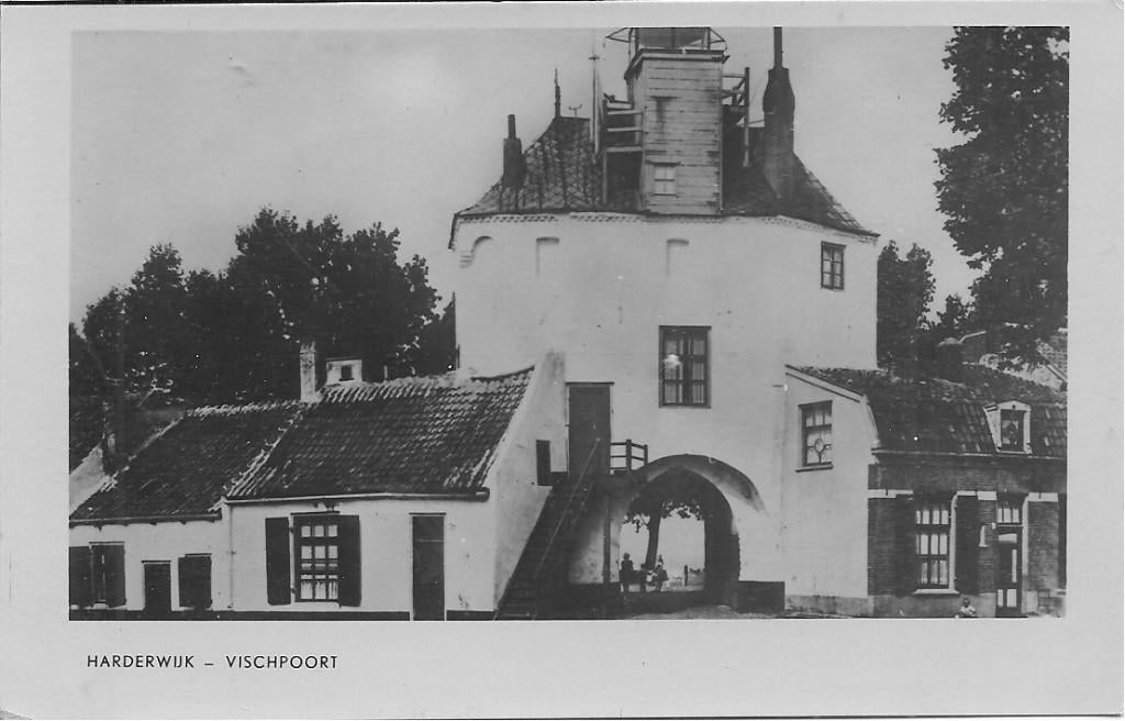 Harderwijk Vischpoort., Ophalen of Verzenden, 1940 tot 1960, Ongelopen, Gelderland