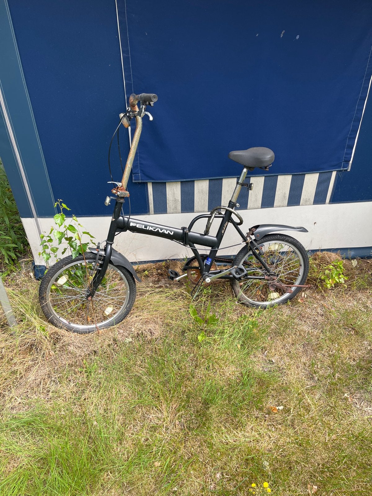 Pelikaan Vouwfiets - Handig en Compact, 20 inch of meer, Gebruikt, Totaal opvouwbaar, Ophalen