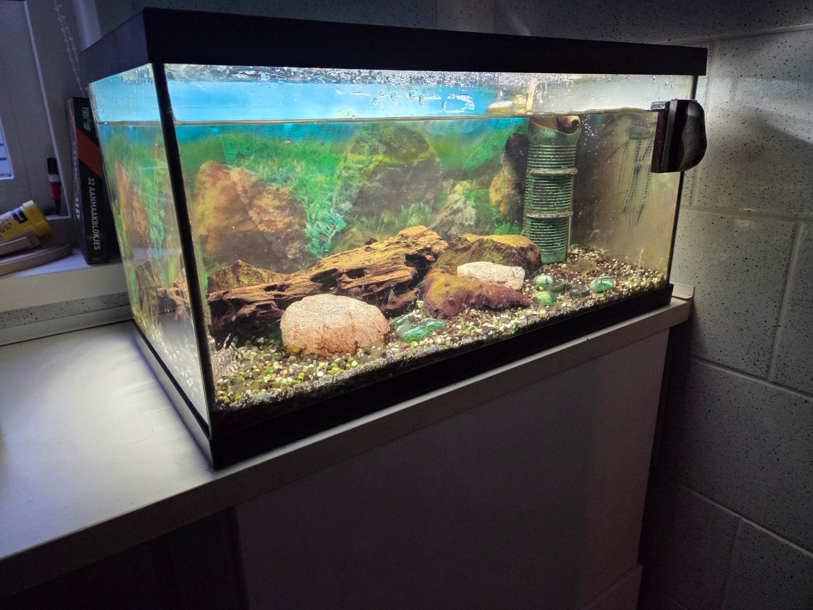 50 liter aquarium inclusief toebehoren en vissen, Dieren en Toebehoren, Ophalen, Inclusief vissen, Eheim, Gevuld zoetwateraquarium