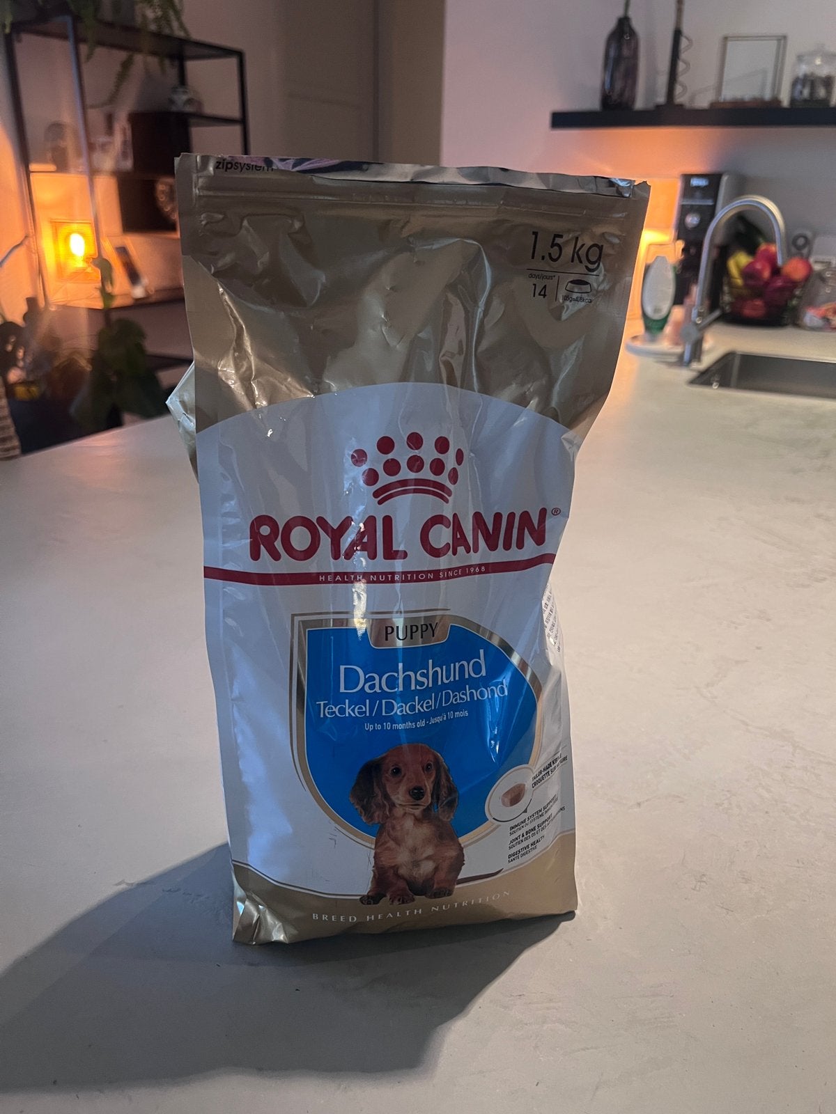 Royal Canin teckel puppy, Dieren en Toebehoren, Ophalen, Hond