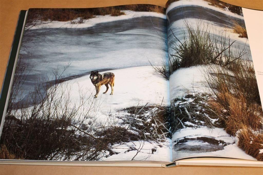De Wolf — Alles over zijn Leven, Gedrag en Jacht, Boeken, Dieren en Huisdieren, Ophalen of Verzenden, Zo goed als nieuw, Overige diersoorten