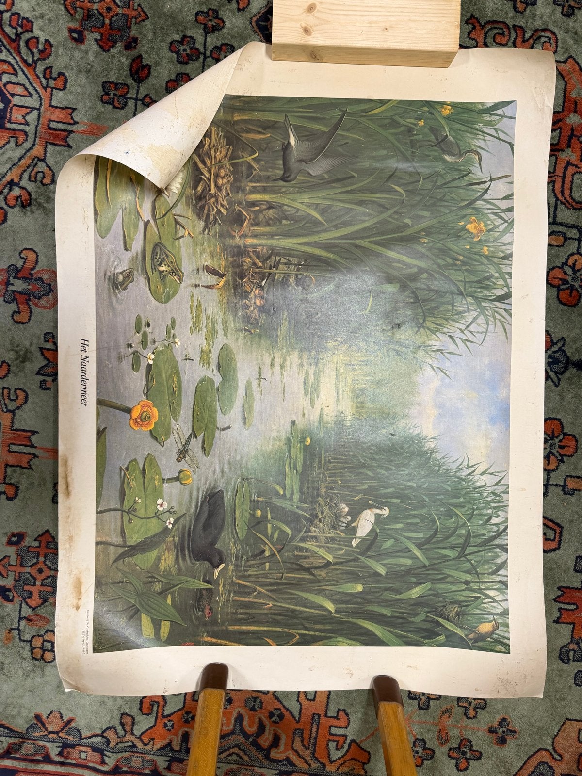Vintage schoolplaat Het Naardermeer - Natuur en Biologie, Antiek en Kunst, Antiek | Schoolplaten, Ophalen, Natuur en Biologie