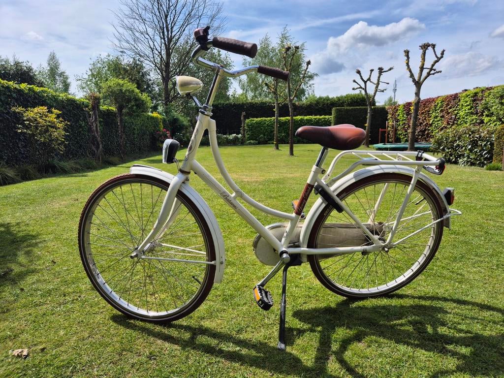 Omafiets van het merk Batavus, Ophalen