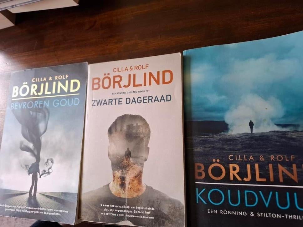 Bevroren goud ,  Borjlind, Boeken, Thrillers, Ophalen of Verzenden, Zo goed als nieuw