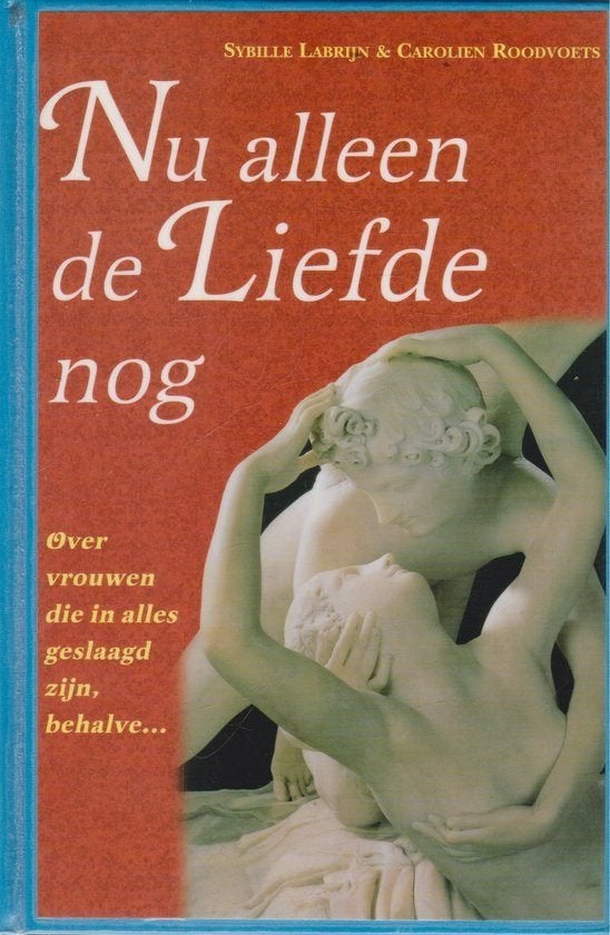 Nu alleen de liefde nog - Sybille Labrijn/Carolien Roodvoets, Ophalen of Verzenden, Gelezen