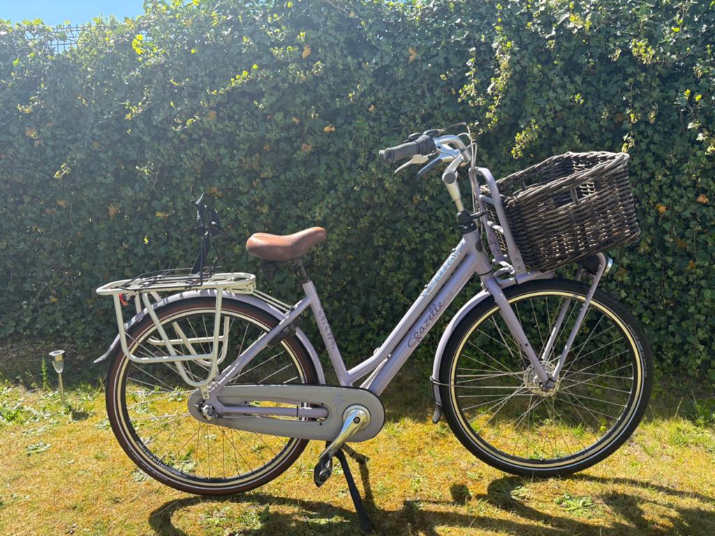 gazzele miss grace lila, Ophalen, Velgrem, 47 tot 50 cm, Versnellingen