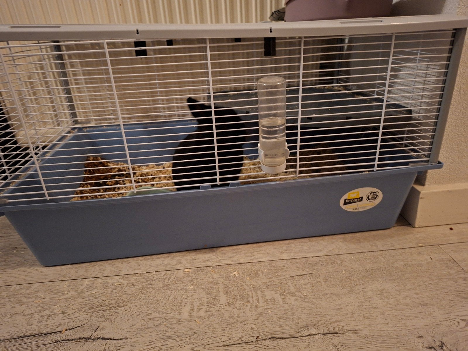 konijnehok met zeer lief tam konijn  wegens allergie, Dieren en Toebehoren, Ophalen of Verzenden, Zo goed als nieuw, Hok, Minder dan 60 cm