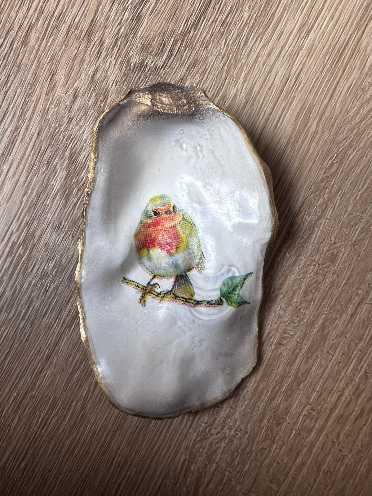 Oesterschelp met roodborstje, Ophalen of Verzenden, Schelp(en)