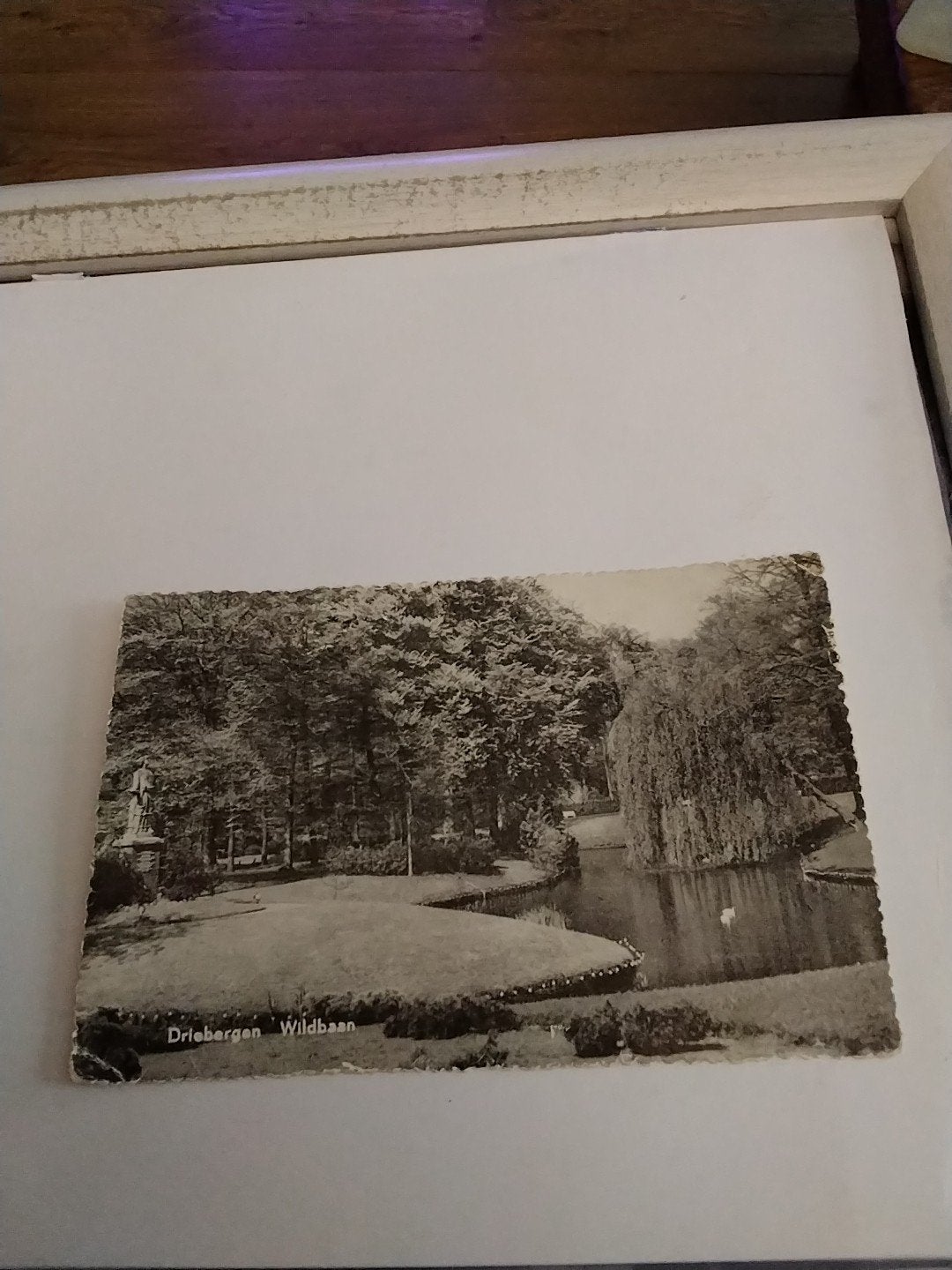 DRIEBERGEN. WILDBAAN, Ophalen of Verzenden, Voor 1920, Utrecht