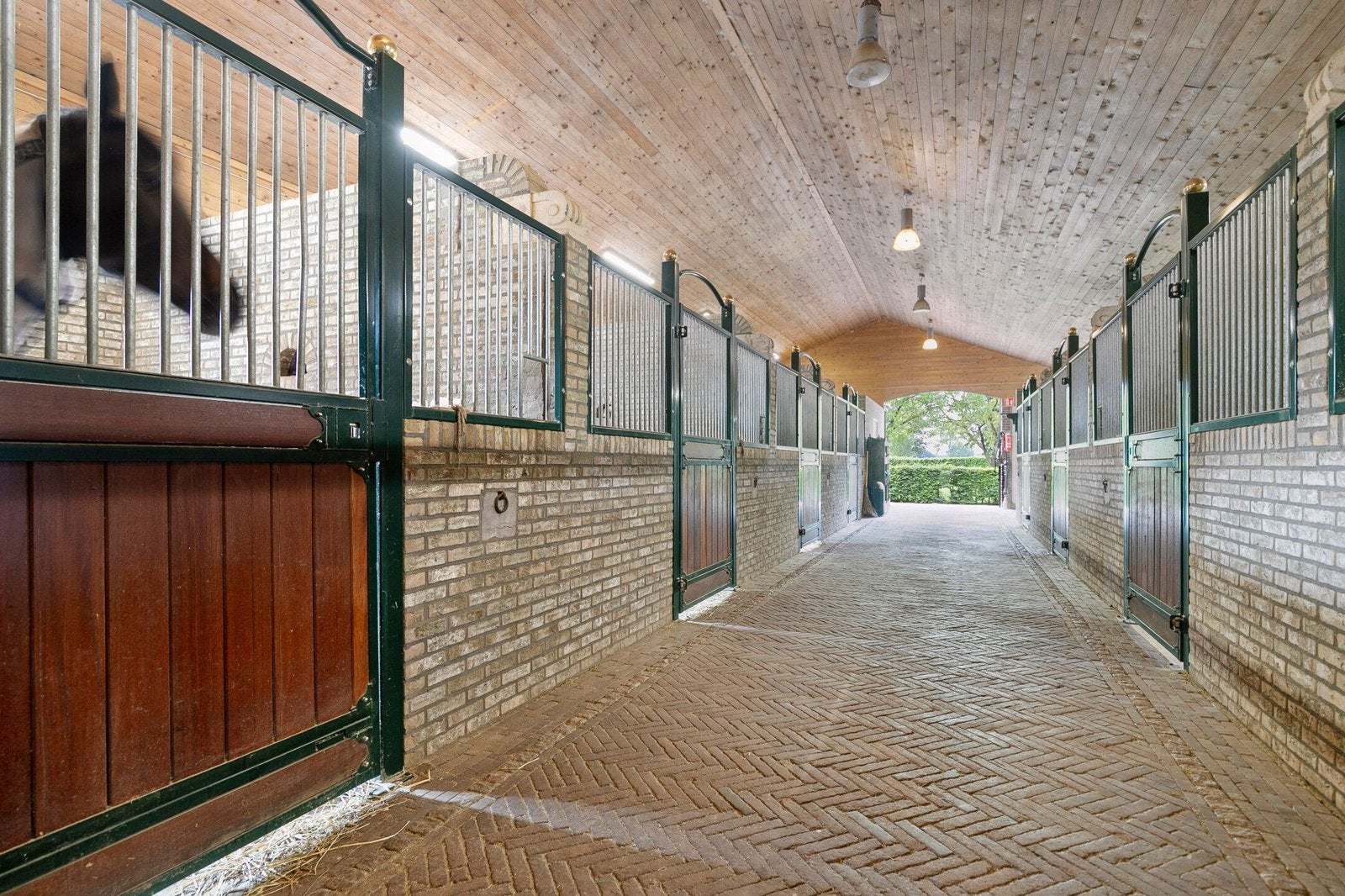 Stal vrij voor: zadelmak maken | africhten | corrigeren, Diensten en Vakmensen, Dieren | Paarden | Verzorging, Oppas en Les, Ruiter of Bijrijder