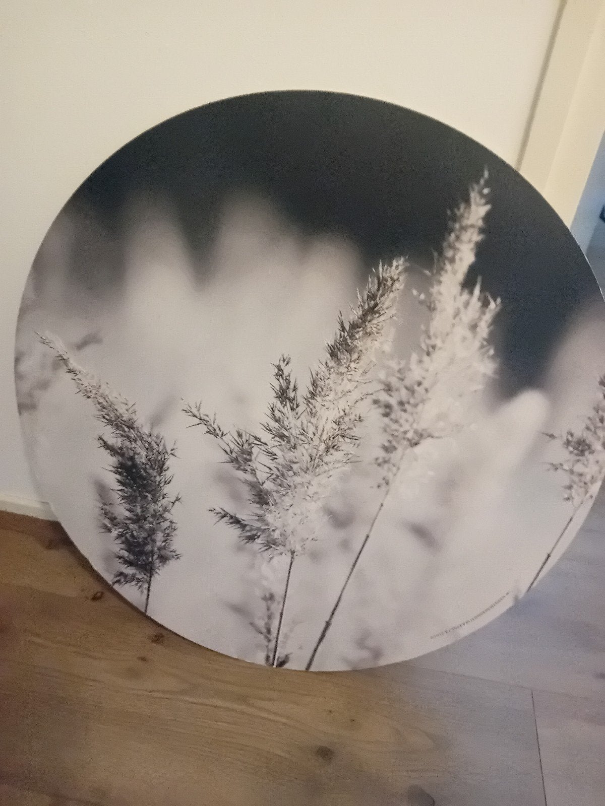 Mooi rond schilderij met rietpluimen (zwart-wit), Huis en Inrichting, Woonaccessoires | Schilderijen, Tekeningen en Foto's, 50 tot 75 cm