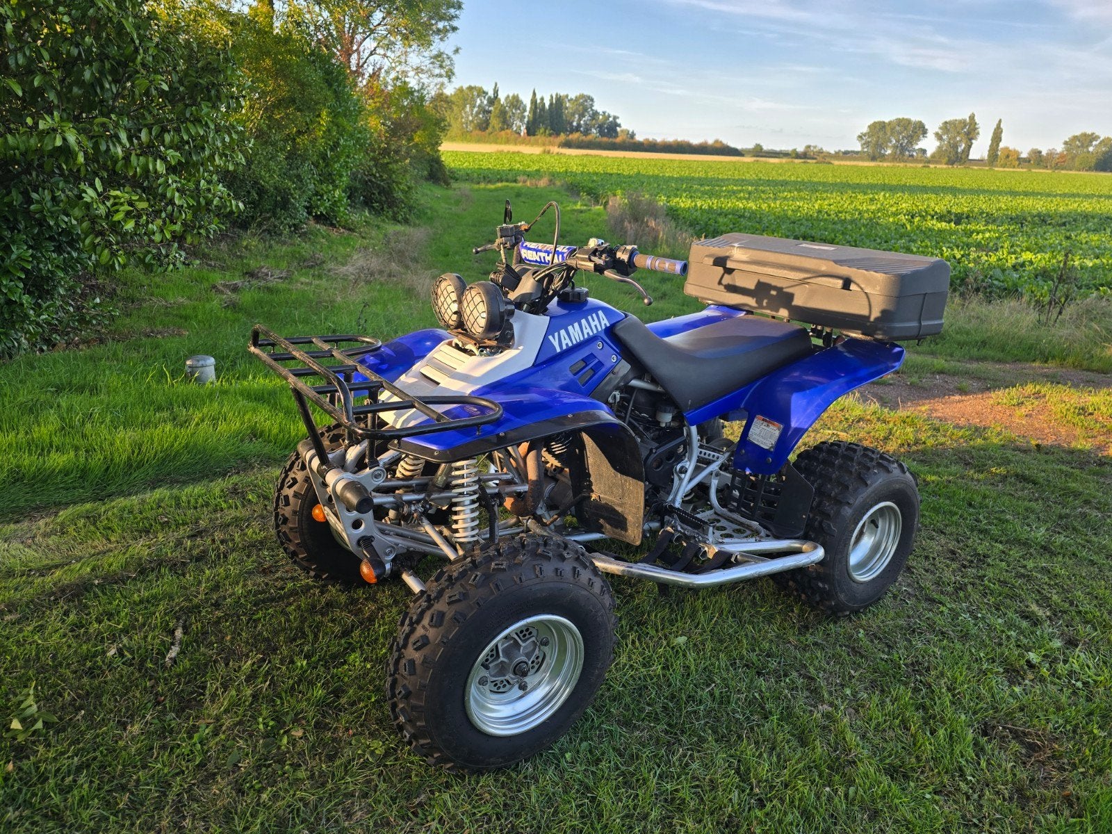 Yamaha Warrior 350 6 bak / achteruit | L7E | Nederlands kent, 348 cc, 1 cilinder, 12 t/m 35 kW
