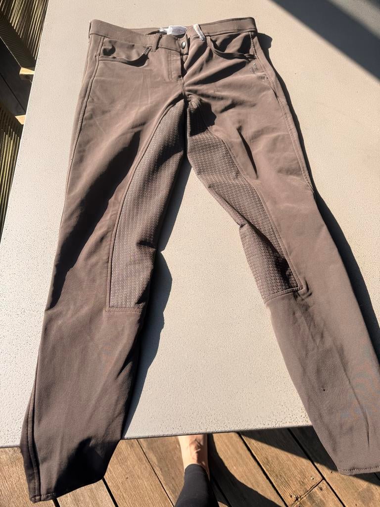 Chocolade bruine pikeur rijbroek maat 42, Dieren en Toebehoren, Paardrijkleding, Dressuur, Zo goed als nieuw, Dames, Onderkleding