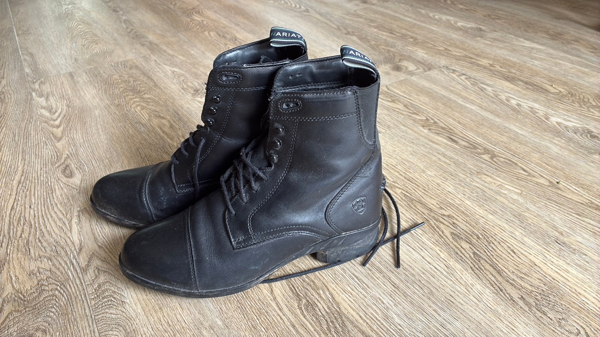 Zgan leren Ariat stalschoenen maat 38,5, Dieren en Toebehoren, Ophalen of Verzenden, Zo goed als nieuw