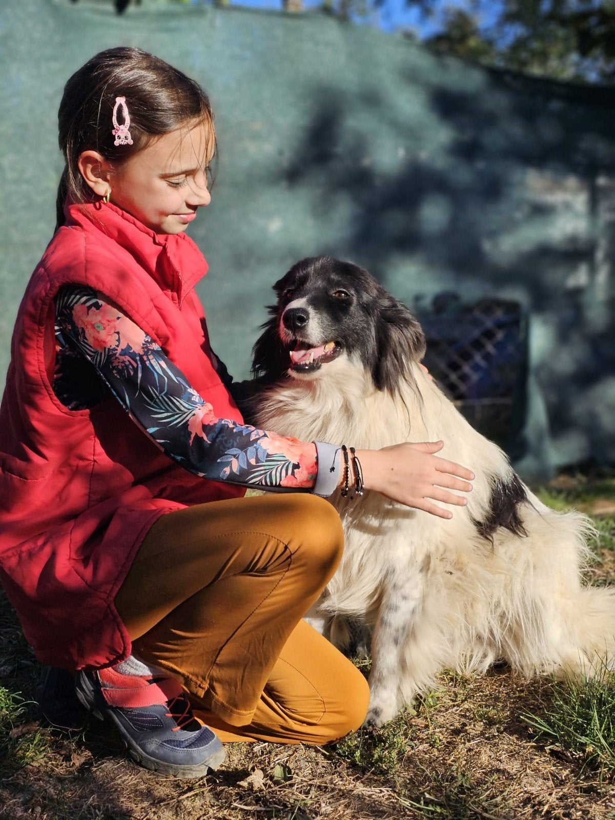 Linda zoekt een baasje, 15 weken tot 1 jaar, Buitenland, Eén hond, Klein