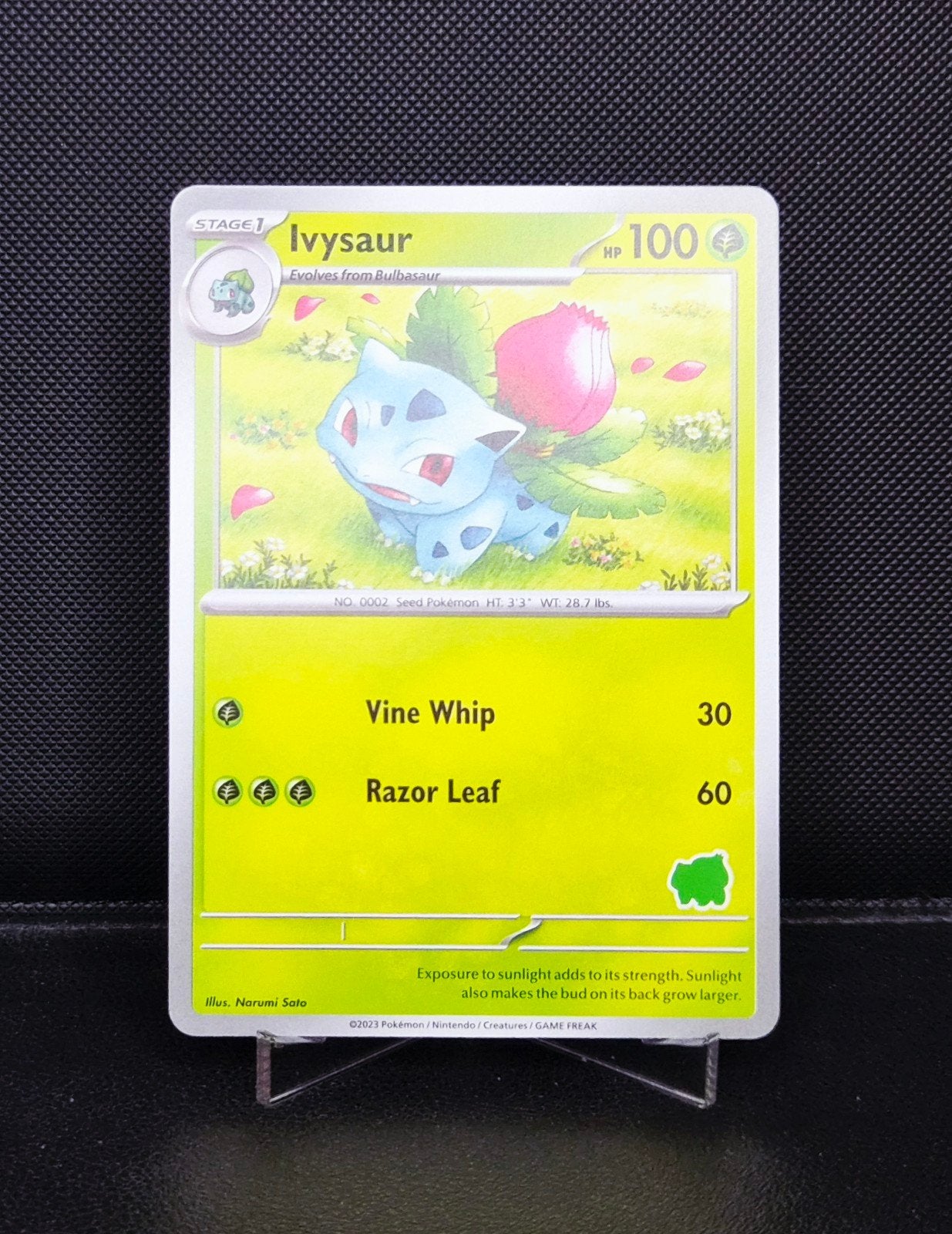 ivysaur My First Battle 2023 NM, Ophalen of Verzenden, Zo goed als nieuw