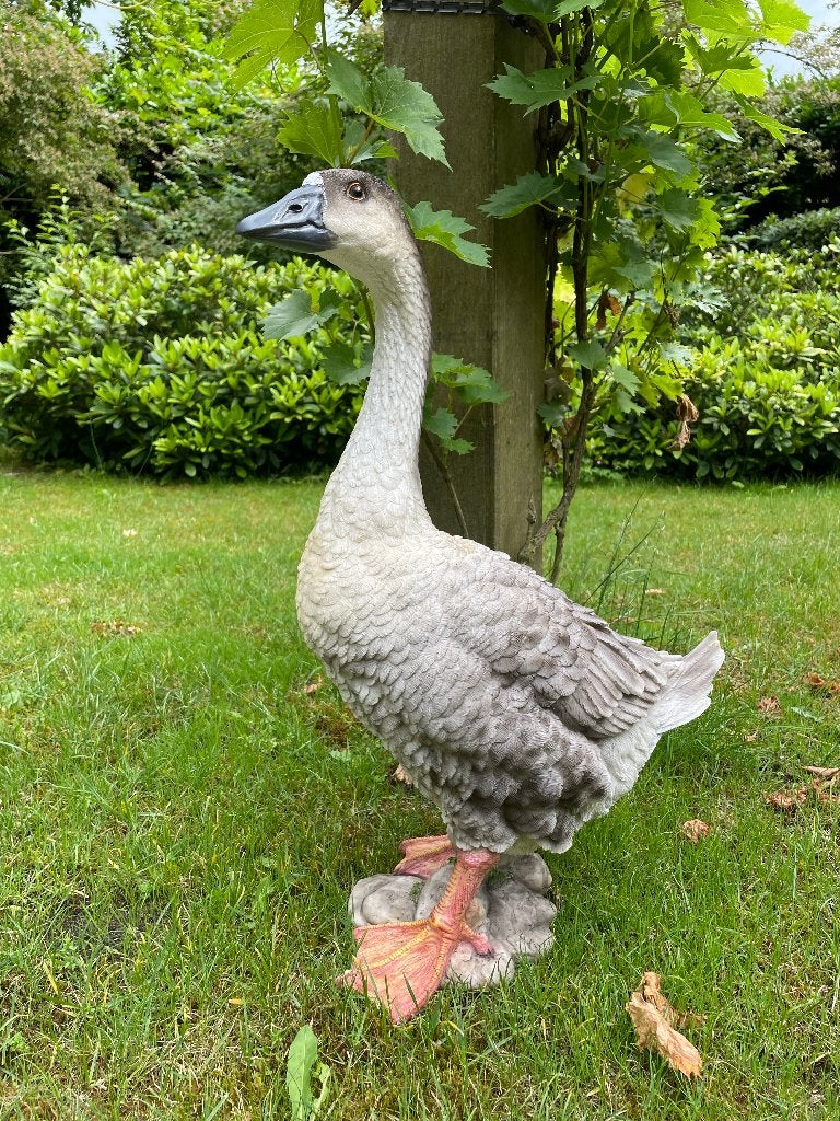 Beeld Gans bruin-wit, tuin, vijver, boerderij 60cm, Tuin en Terras, Ophalen, Nieuw, Kunststof, Dierenbeeld