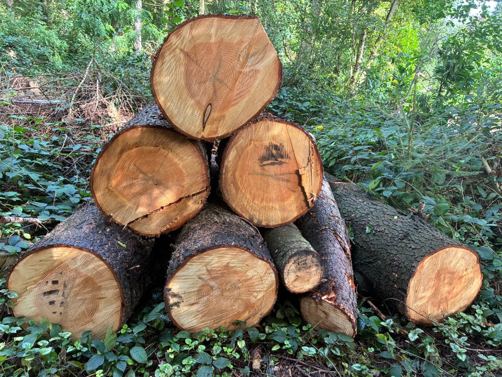 Brandhout haardhout, Minder dan 3 m³, Ophalen