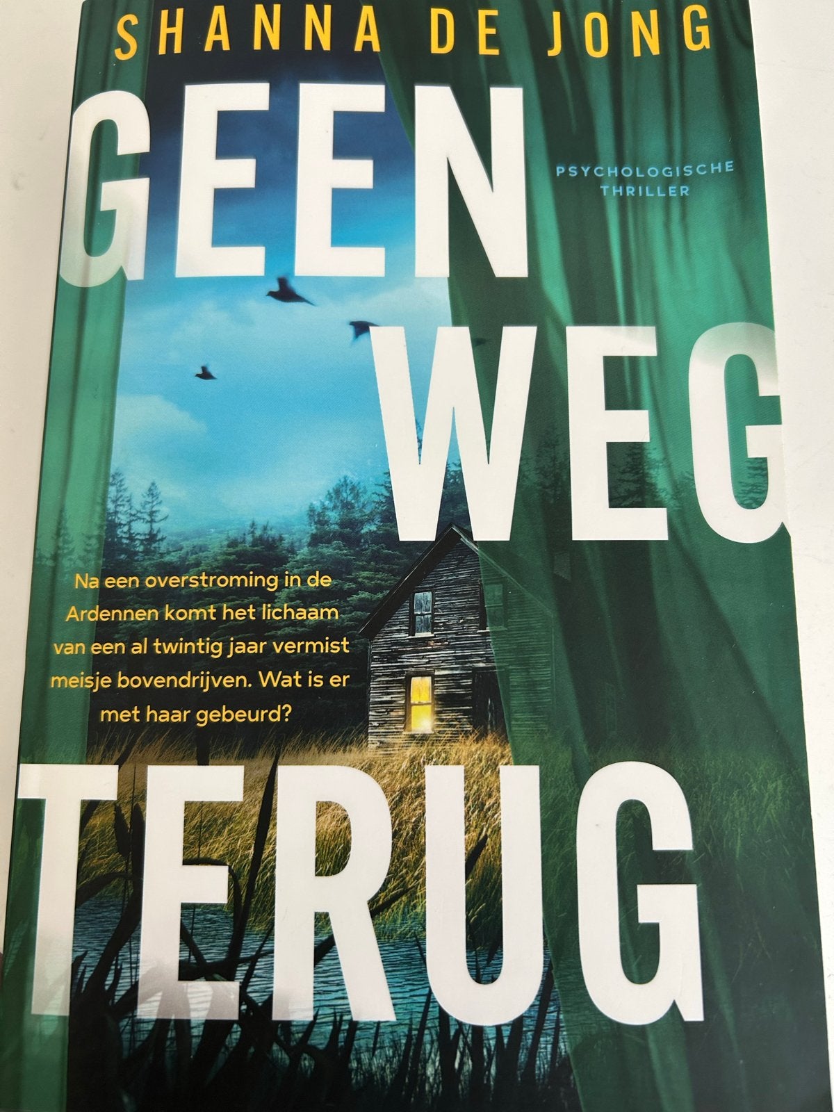 Geen Weg Terug - Shanna de Jong (Psychologische thriller), Ophalen of Verzenden, Zo goed als nieuw, Nederland