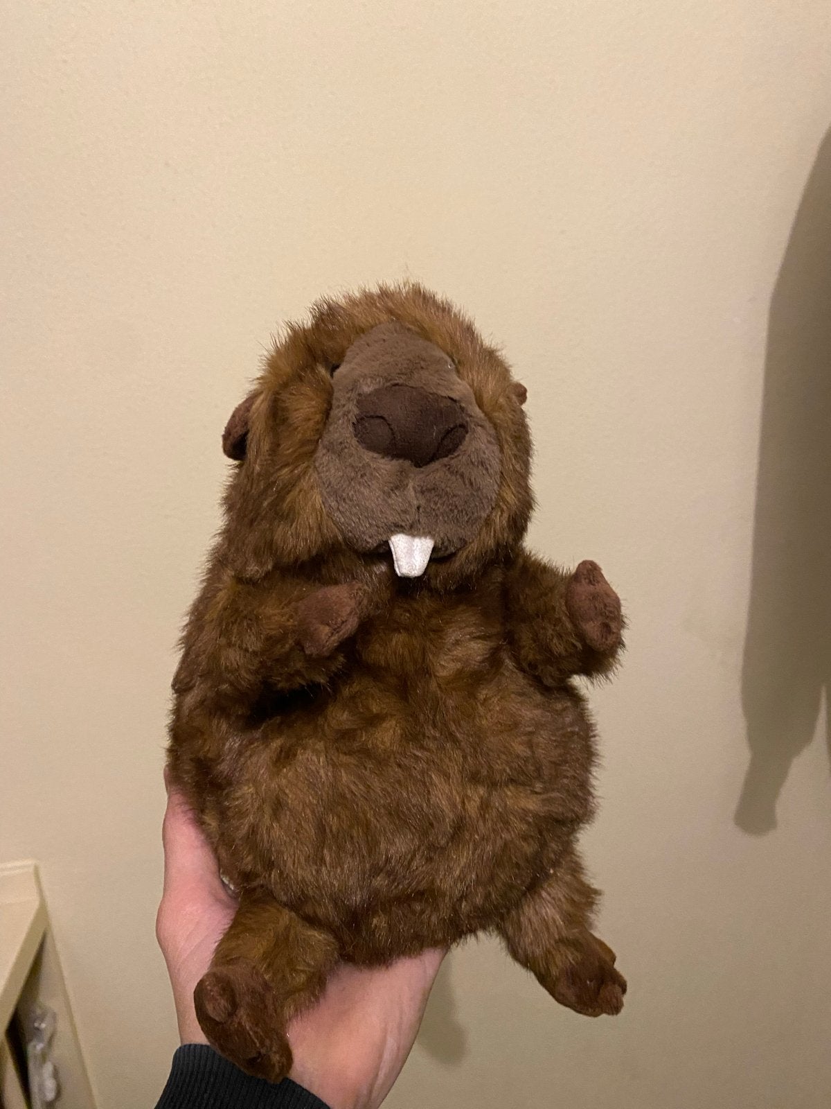 Jellycat Schattige Bever Knuffel - Zo goed als nieuw, Ophalen of Verzenden, Zo goed als nieuw, Bruin, Overige typen