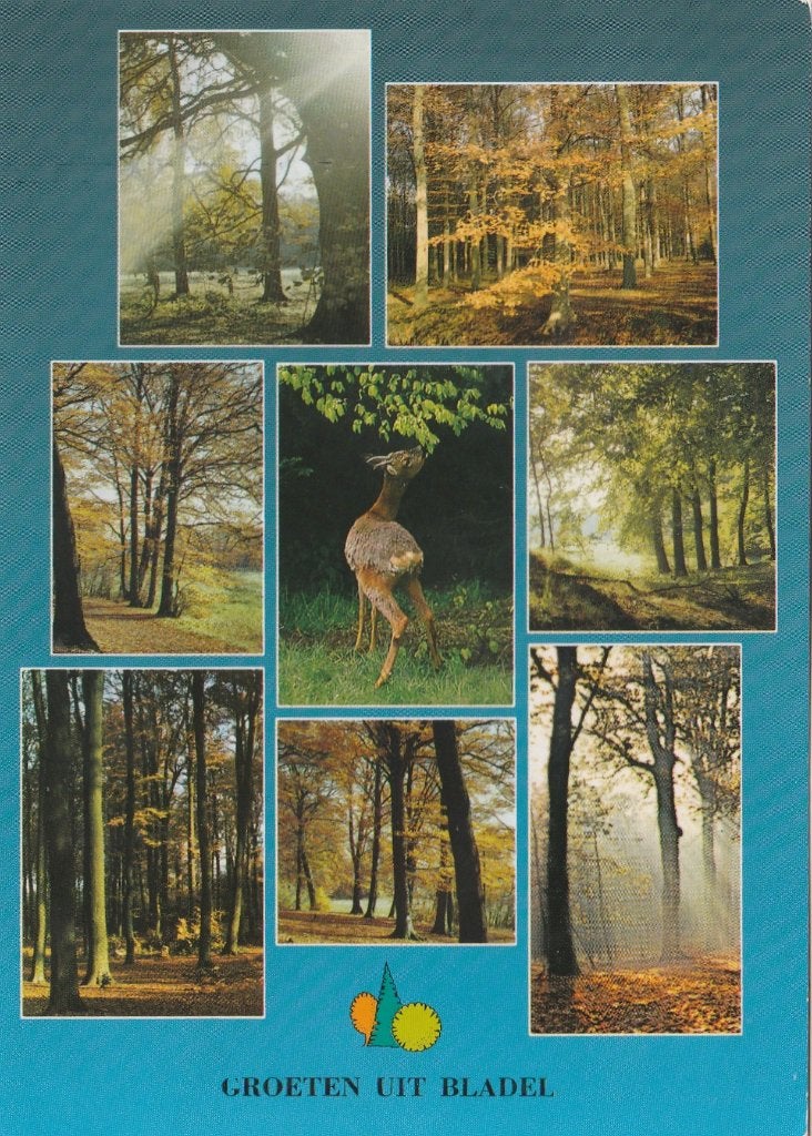 BLADEL Bosgezichten Hert Groeten, Verzamelen, Ansichtkaarten | Nederland, Verzenden, 1940 tot 1960, Gelopen, Noord-Brabant