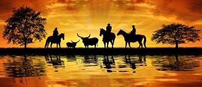 Groot Cowboy Zonsondergang Decordoek – v.a. €100,-, Ophalen, Nieuw, Overige