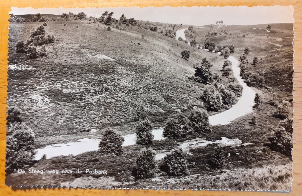 Ansichtkaart de Steeg, Verzamelen, Ansichtkaarten | Nederland, Verzenden, 1940 tot 1960, Gelopen, Gelderland