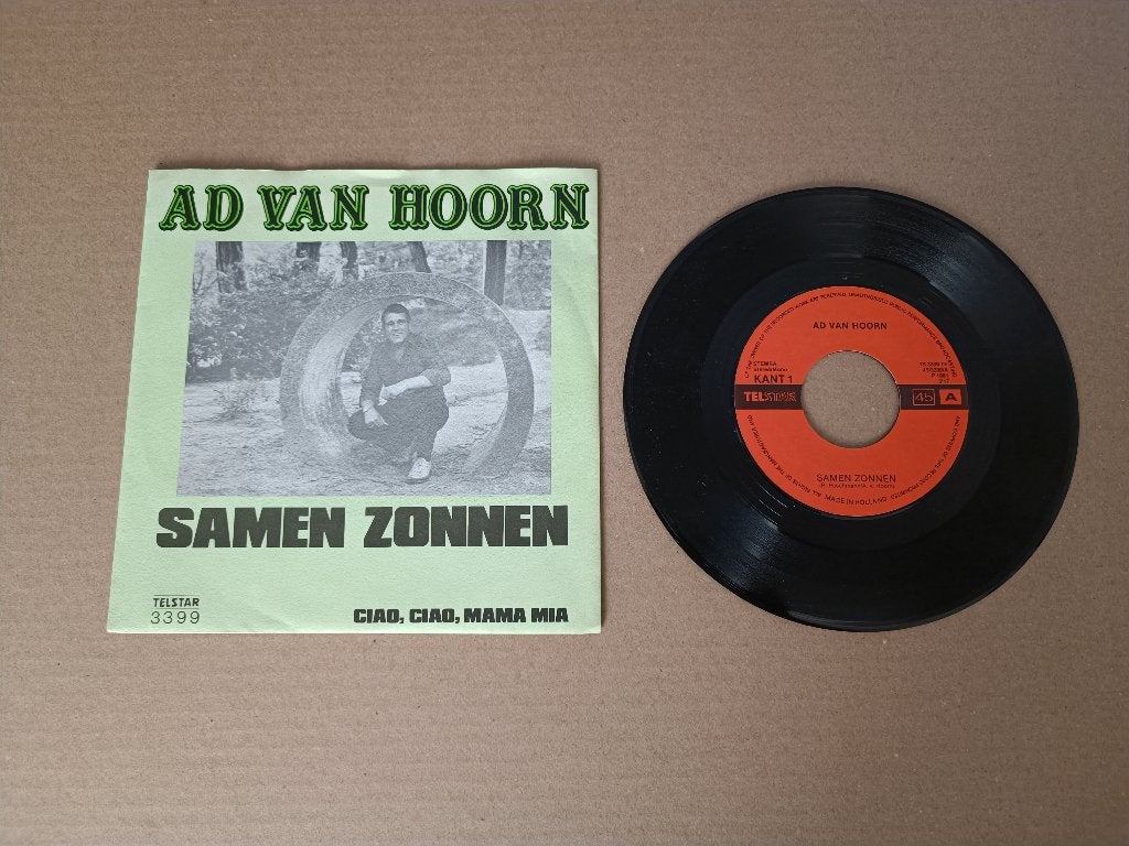Single: Ad Van Hoorn - Samen Zonnen (1980) Telstar 3399, Cd's en Dvd's, Vinyl Singles, Verzenden, Gebruikt, Nederlandstalig