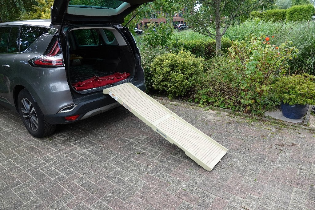 Petstep loopplank 2-delig 180 lang (multifunctioneel), Dieren en Toebehoren, Overige merken, Ophalen, Gebruikt, Hondenloopplank