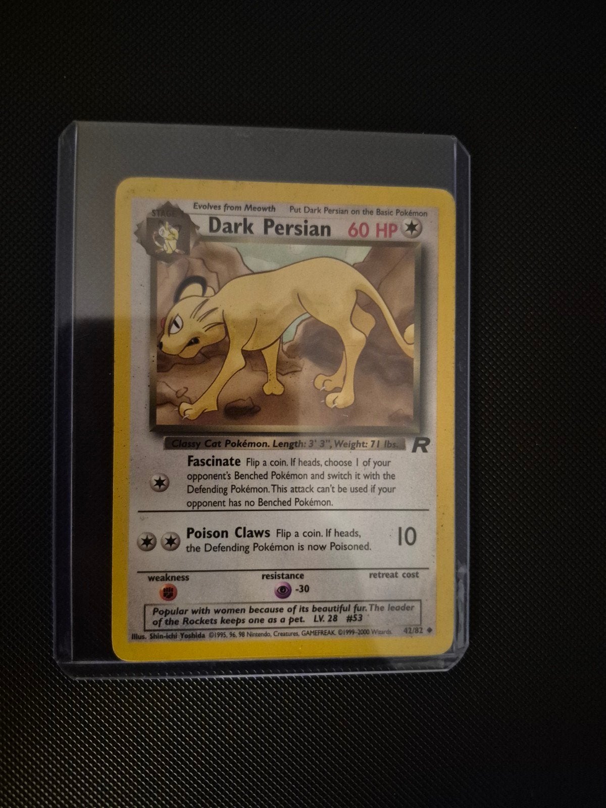 Dark Persian 42/82, Ophalen of Verzenden