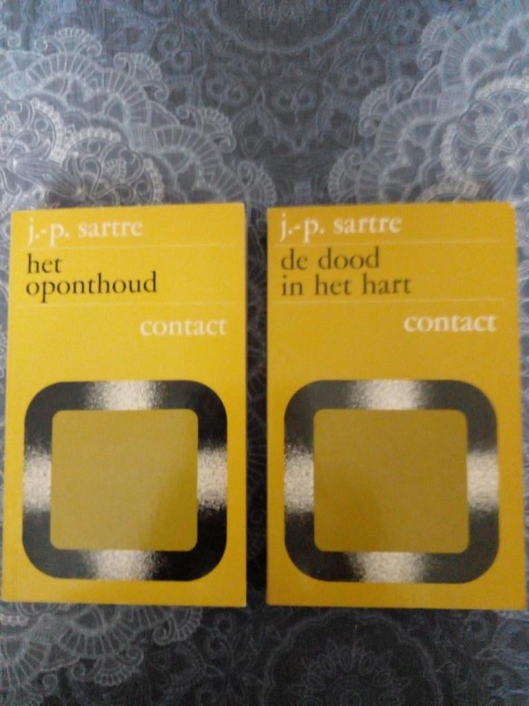 Sartre - Het oponthoud & De dood in het hart, Boeken, Ophalen of Verzenden, Gelezen, Wijsbegeerte of Ethiek, J.P. Sartre