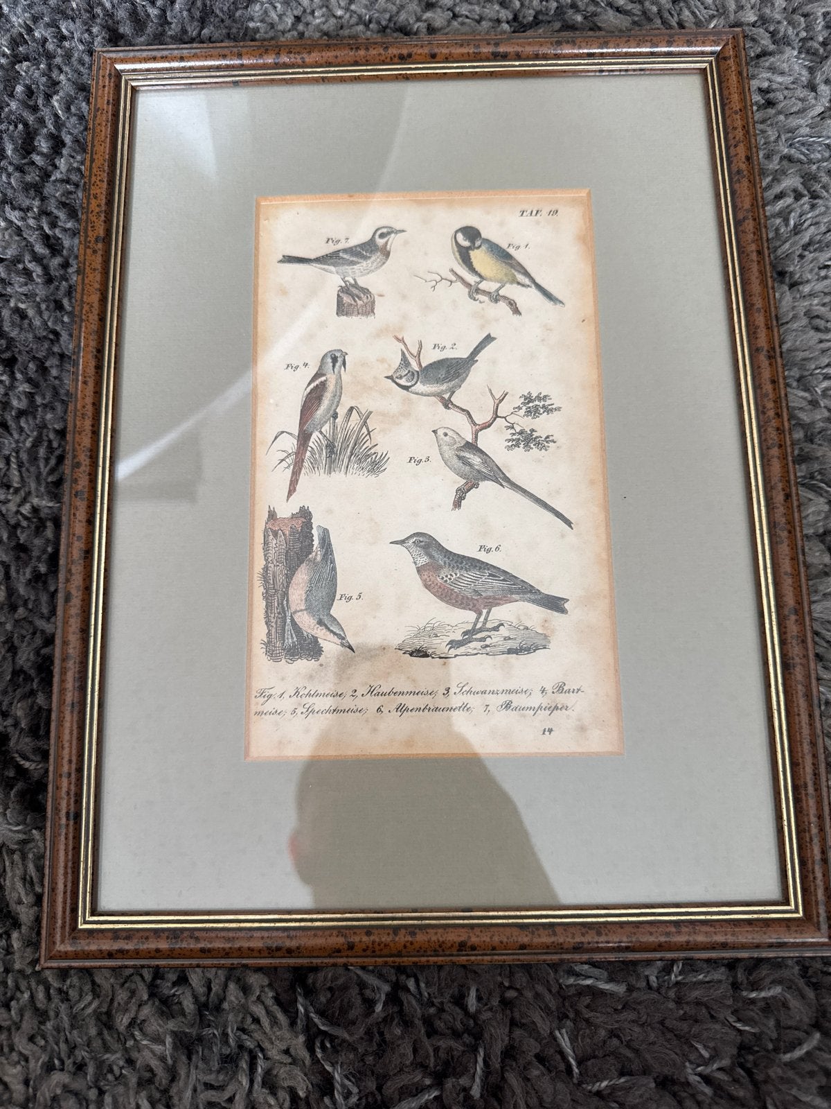 Vintage ingelijste vogelprint - Kunsthandel Korsman, 50 – 75, Minder dan 50 cm, Gebruikt, Ophalen of Verzenden