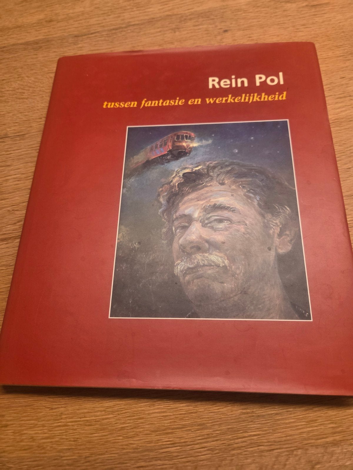 Rein Pol: Tussen fantasie en werkelijkheid, Ophalen of Verzenden, Zo goed als nieuw, Rein Pol, Nederland