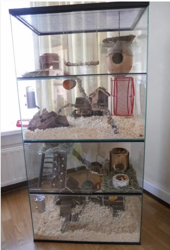 Glazen Knaagieren terrarium 60x40x120 (2in1), Ophalen, Gebruikt